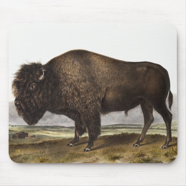 American Bison (Bos Americanus) Illustration Mouse Pad (Front)