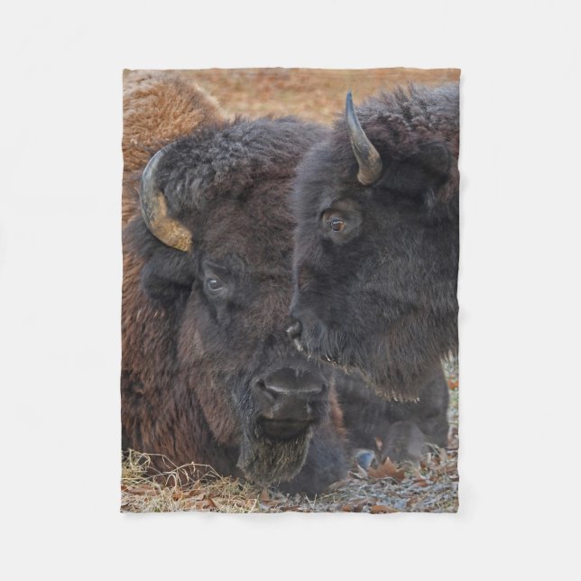 American Bison Bull & Cow Bonded Pair Fleece Blanket (Front)