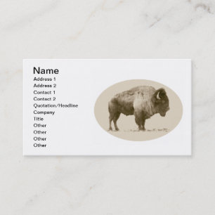 American Bison Business Card
