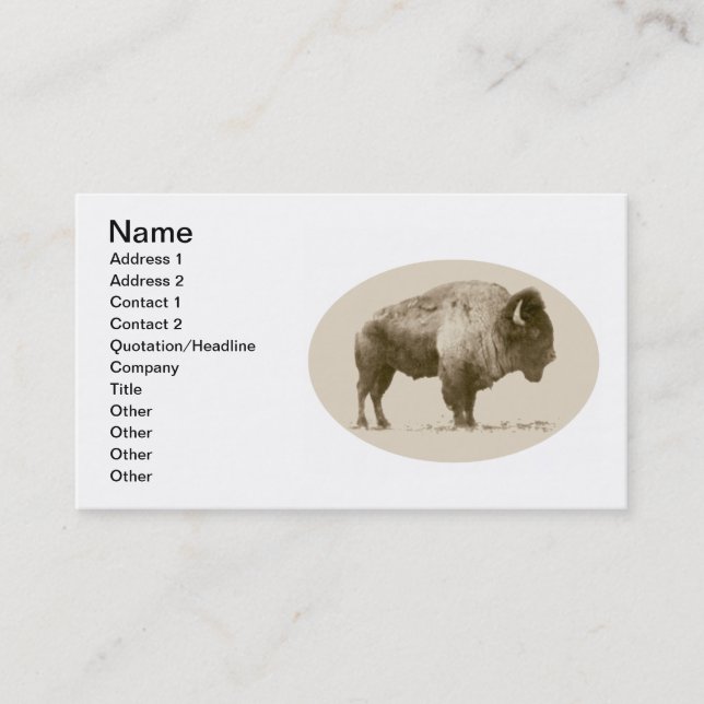 American Bison Business Card (Front)