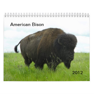 American Bison Calendar