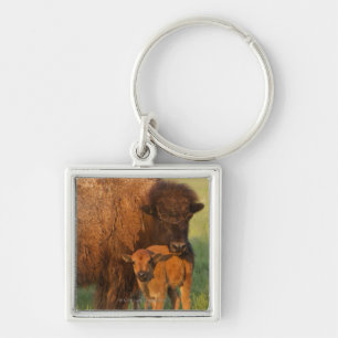 American Bison cow and calf, North Dakota Key Ring