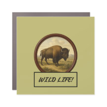 American Bison Dark Khaki Car/Truck Magnet