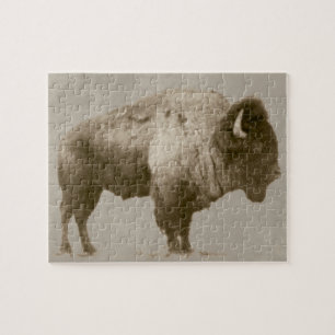 American Bison Jigsaw Puzzle