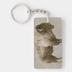 American Bison Key Ring
