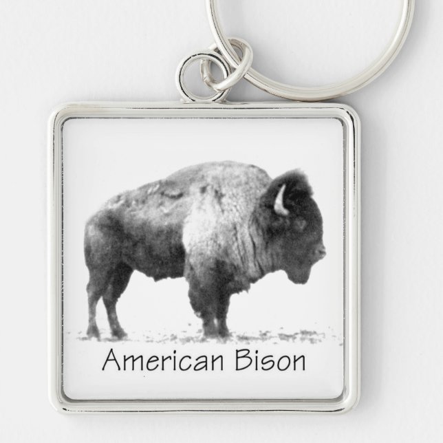 American Bison Key Ring (Front)