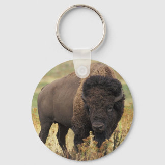 American Bison Keychain