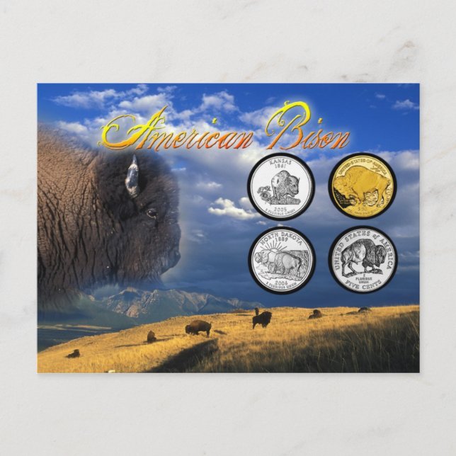 American Bison on coins Postcard (Front)