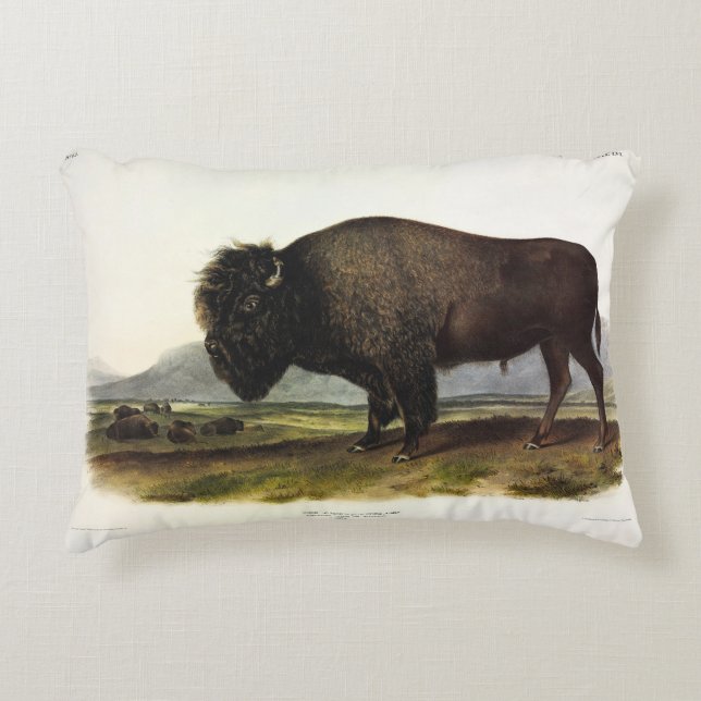 American Bison, or Buffalo (Bison bison) - Audubon Decorative Cushion (Front)