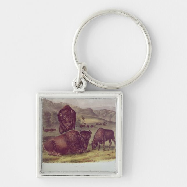 American Bison or Buffalo Key Ring (Front)