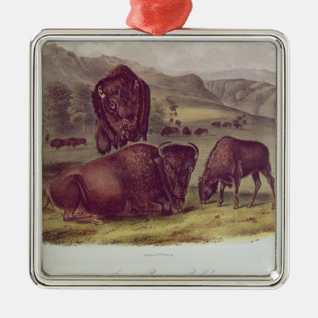 American Bison or Buffalo Metal Tree Decoration (Front)