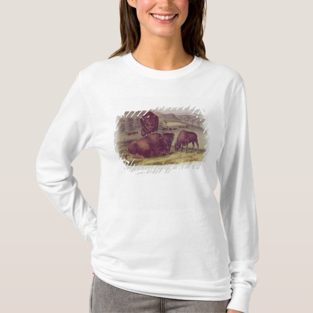 American Bison or Buffalo T-Shirt (Front)