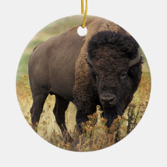American Bison Ornament (Front)