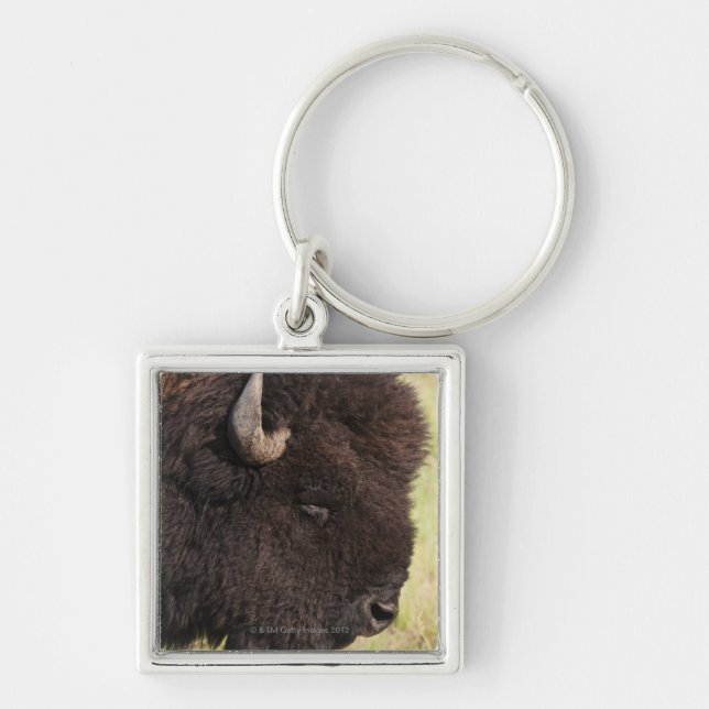 American Bison, South Dakota Key Ring (Front)