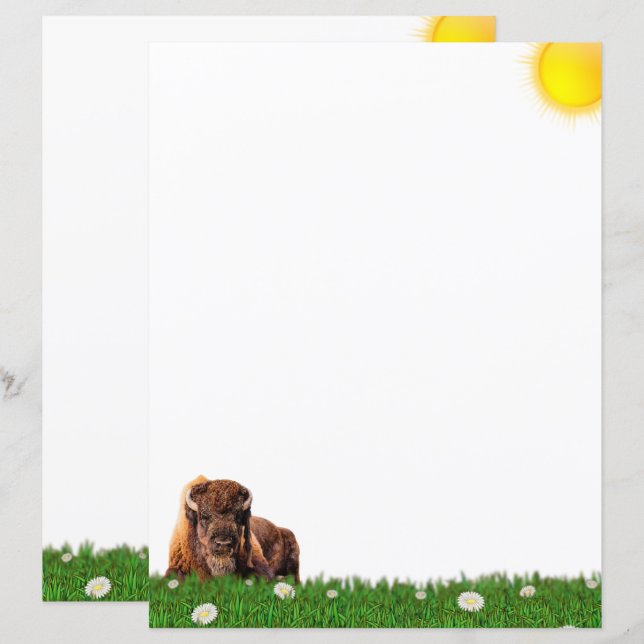 American Bison Stationery (Front/Back)