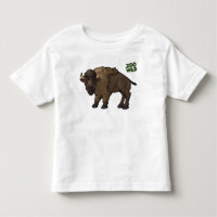 American Bison