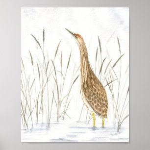 American Bittern Fine Art Print