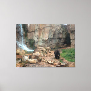 American Black Bear Canvas Print