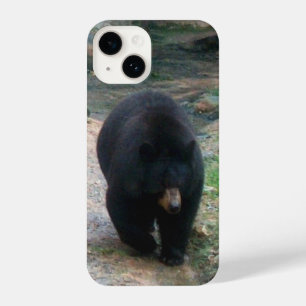 American Black Bear iPhone Case