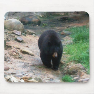 American Black Bear Mouse Pad