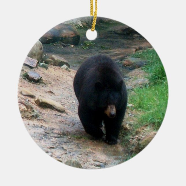 American Black Bear Ornament (Front)