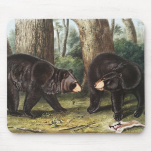 American Black Bear Ursus Americanus Illustration Mouse Pad