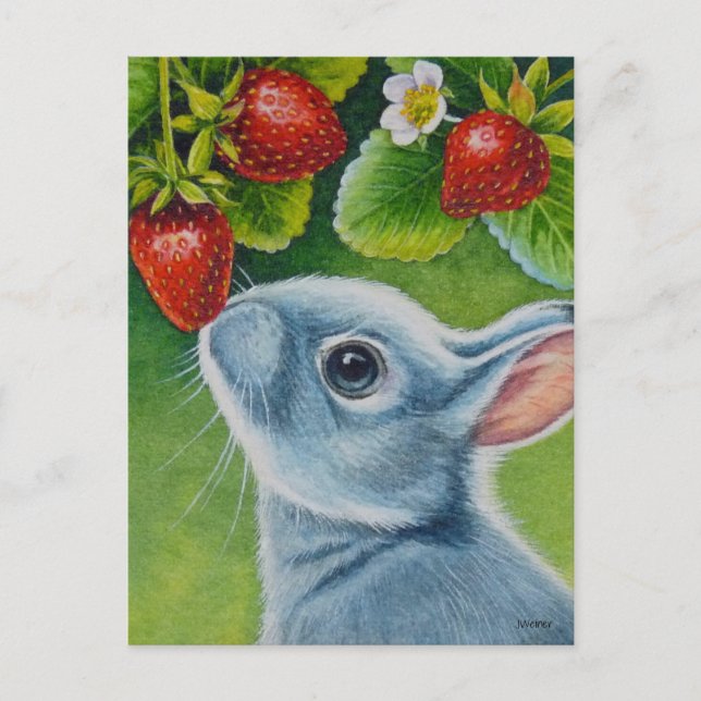 American Blue Rabbit & Strawberries Watercolor Art Postcard (Front)