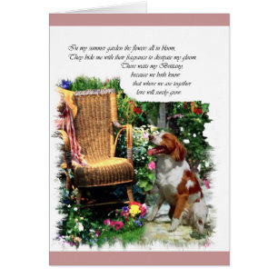 American Brittany Spaniel Art Gifts