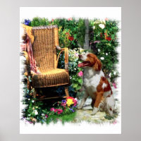 American Brittany Spaniel Art Print