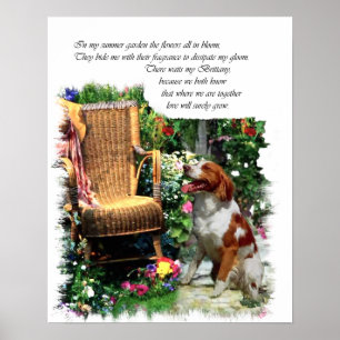 American Brittany Spaniel Art Print