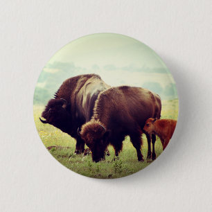 American Buffalo (Bison) Family  6 Cm Round Badge
