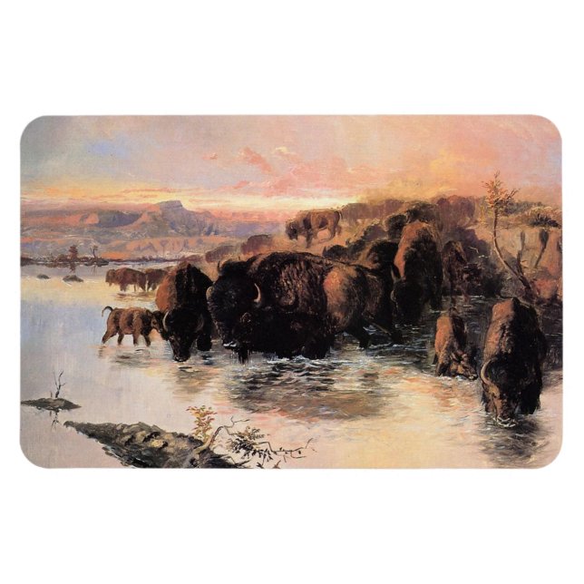 American Buffalo Herd Magnet (Horizontal)