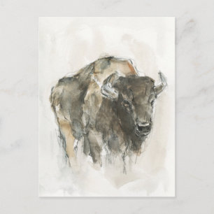 American Buffalo I Postcard