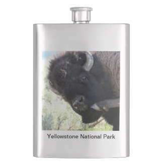American Buffalo in Yellowstone National Park Hip Flask