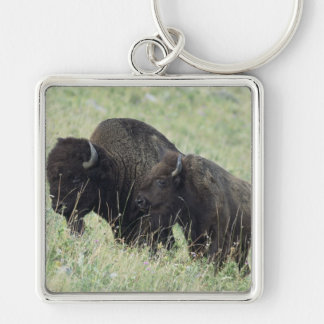 American Buffalo Key Ring