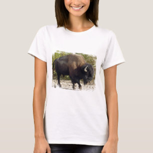 American Buffalo Ladies Fitted T-Shirt