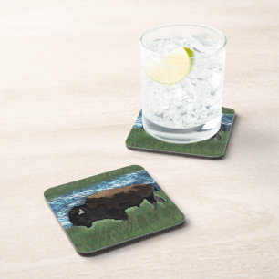 American Buffalo or Bison Illustration Coaster