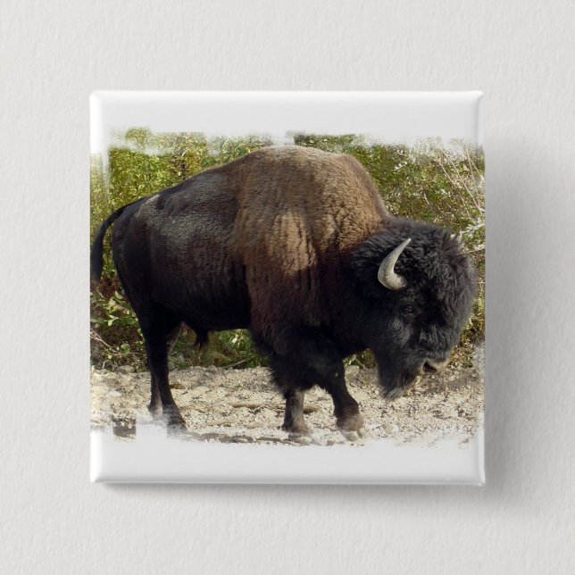 American Buffalo Square Pin (Front)