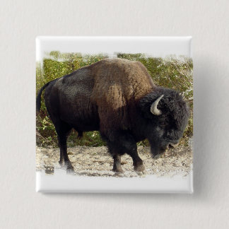 American Buffalo Square Pin