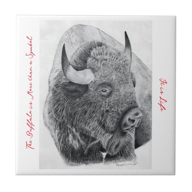 American Buffalo Tile (Front)