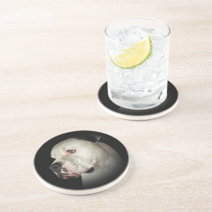 American Bull Dog portrait Coaster