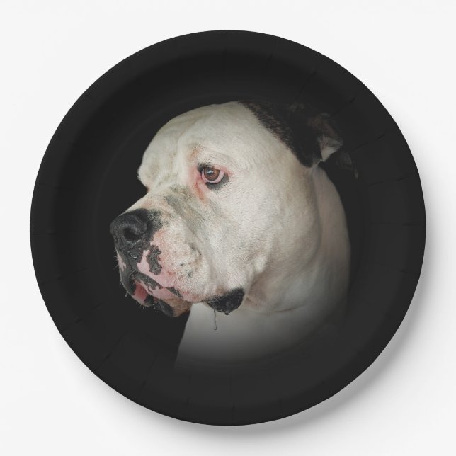 American Bull Dog Portrait Paper Plate (Front)