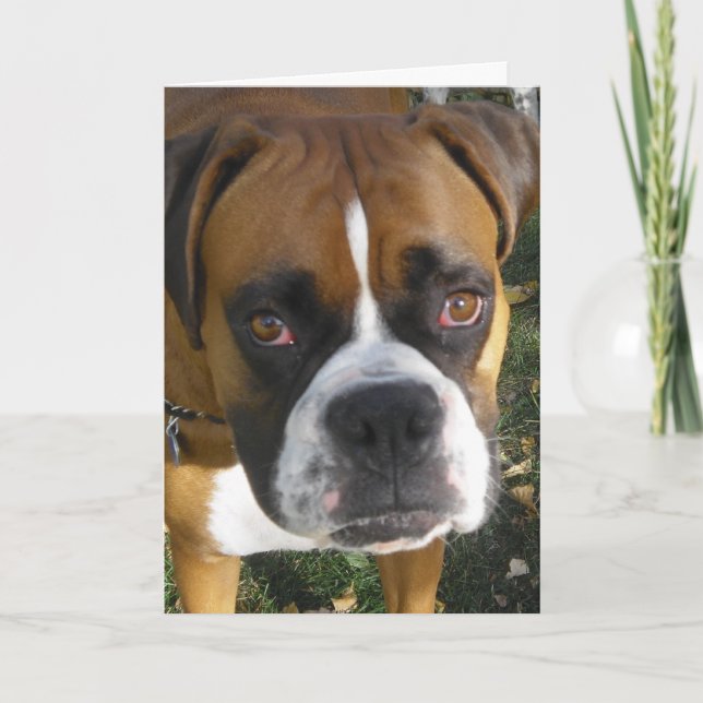 American Bulldog Birthday Card (Front)
