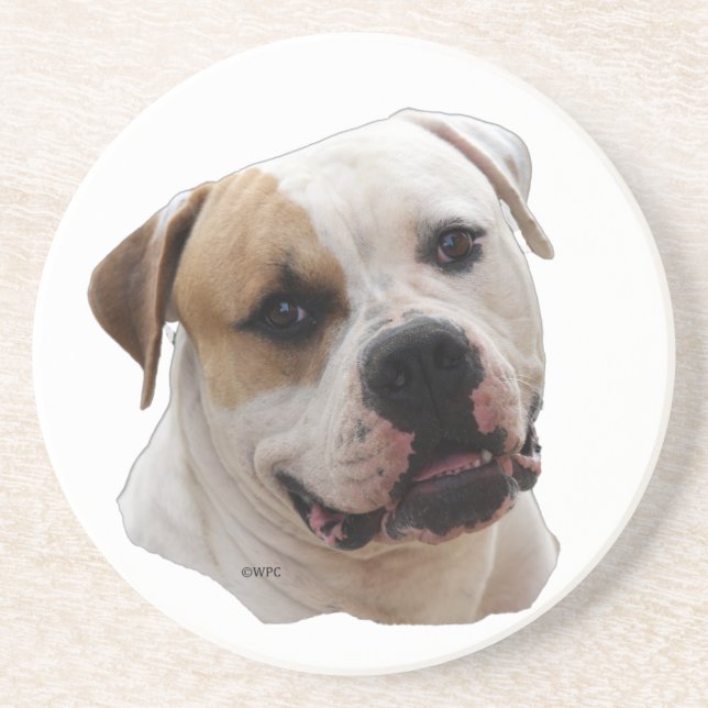 american bulldog coaster (Front)