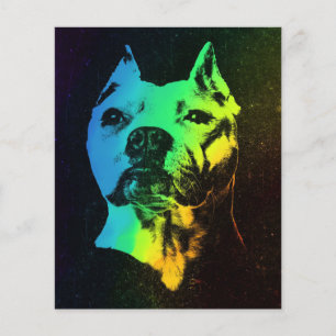 American Bulldog Colourful Gift Flyer