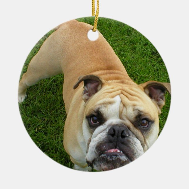 American Bulldog Ornament (Front)