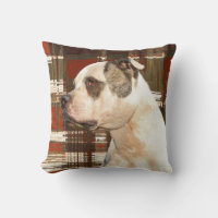 American Bulldog Plaid Pillow