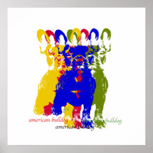 American bulldog poster