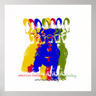 American bulldog poster