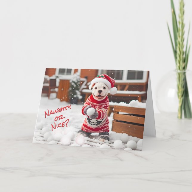 American Bulldog Pup Making Snowballs Card (Front)
